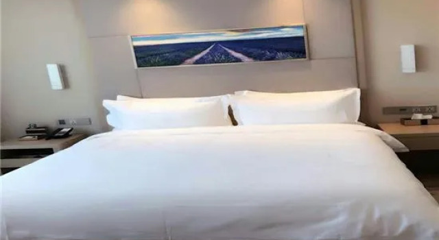 Deluxe Suite Lifeng Hotel