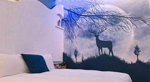 Четырёхместный номер Comfort Deer Moon Hostel