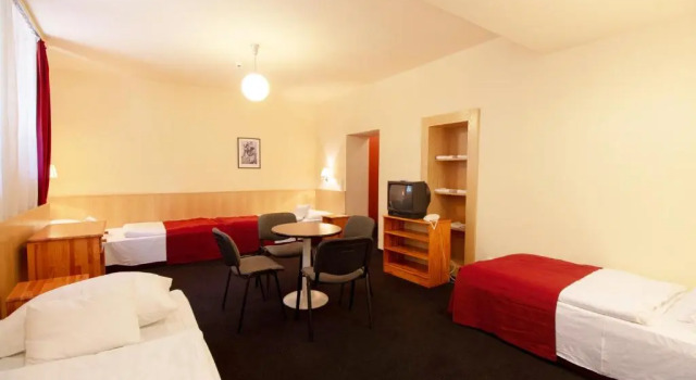 Номер Economy Hotel Laterum