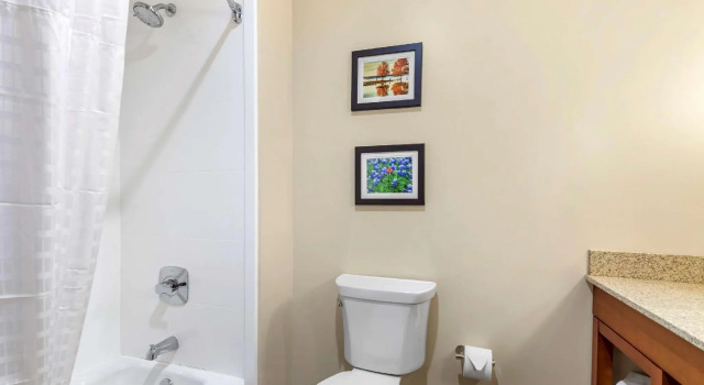 Четырёхместный люкс Comfort Suites San Antonio Ft Sam Houston-SAMMC Area