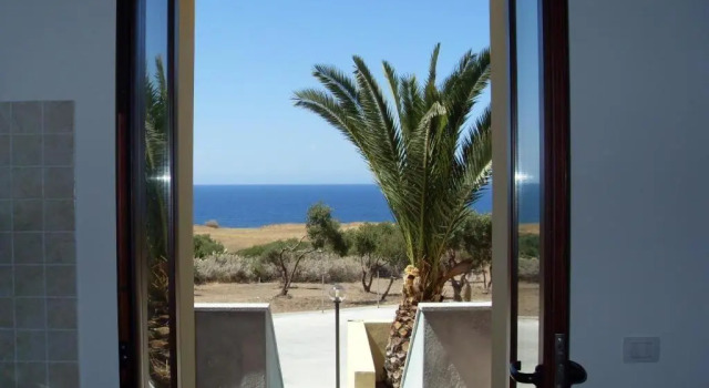 Palm Apartment