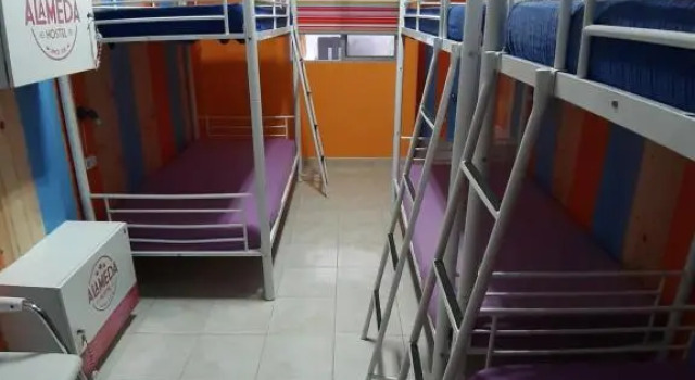 Кровать в общем номере (женский номер) Alameda Hostel