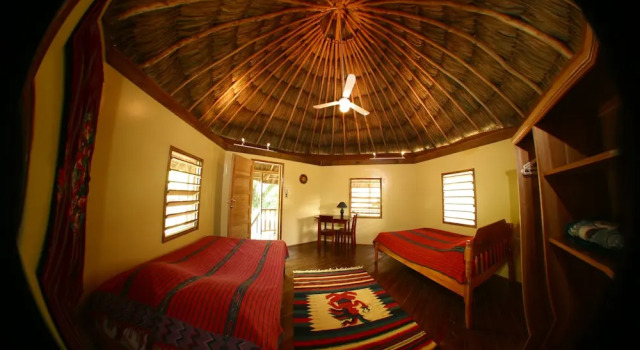 Cohune Palms River Cabanas, Rezerwuj Hotel Bullet Tree Falls Cayo