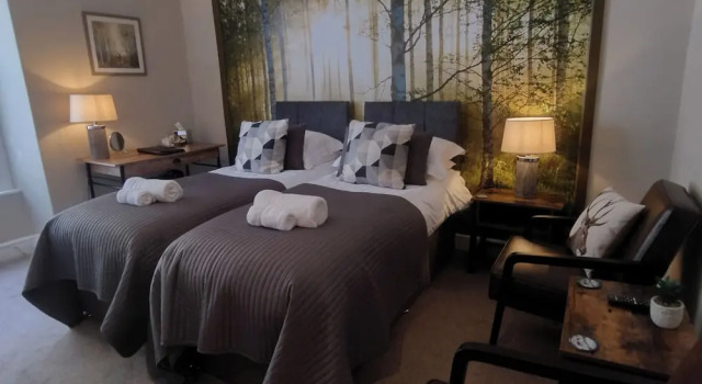 Номер Deluxe Plas Tan y Graig B&B Guest House Beddgelert