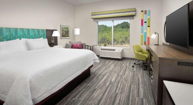 Номер Standard Hampton Inn & Suites Lexington Columbia