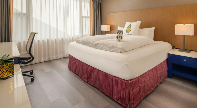 Двухместный номер Standard Staypineapple, Hotel Rose, Downtown Portland