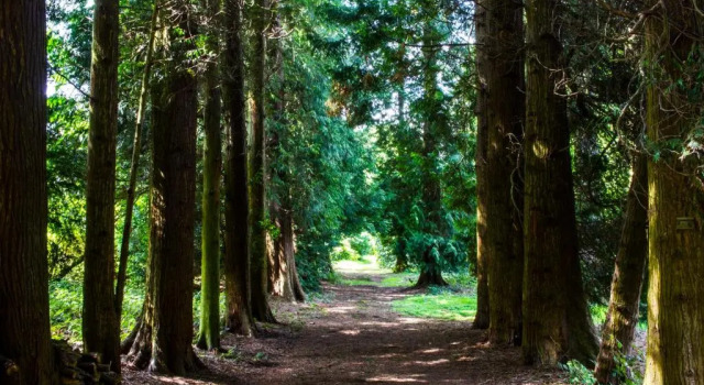 Hawkstone Hall Hotel & Gardens