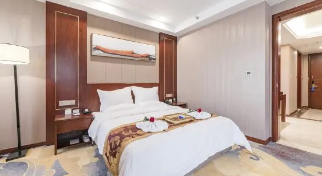 Люкс Business Wanyou Hotel