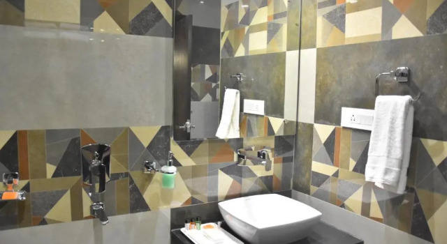 Люкс Deluxe Hotel Abhinav International