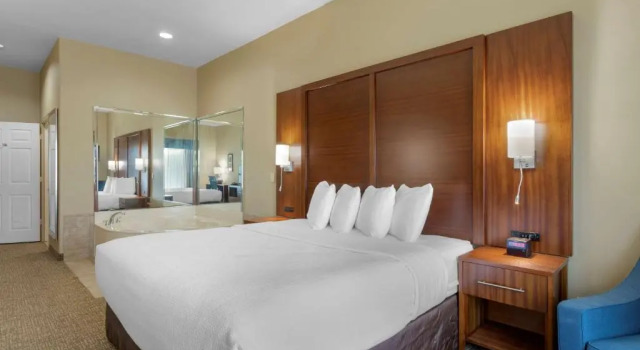 Двухместный люкс Whirlpool Best Western Texas City