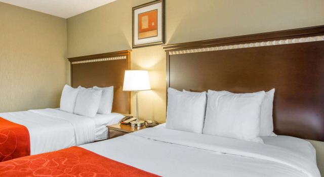 Четырёхместный люкс Comfort Suites Locust Grove Atlanta South
