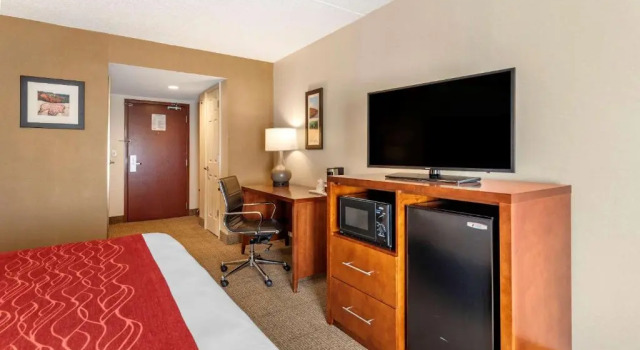 Номер Standard Comfort Inn & Suites