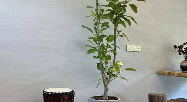 Anxia Lishe B&B, Xiandu Scenic Area