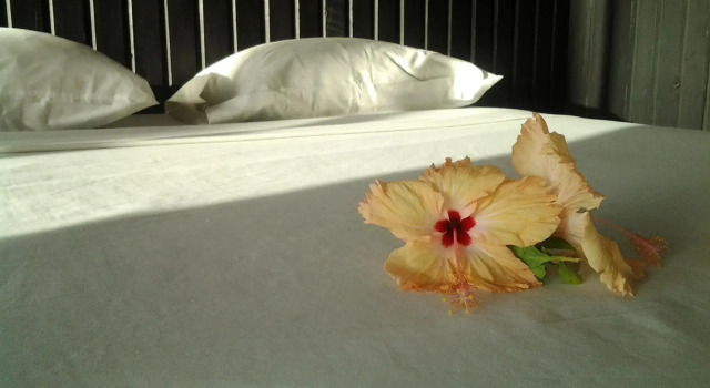 Номер Deluxe рядом с пляжем Travellers Beach Resort