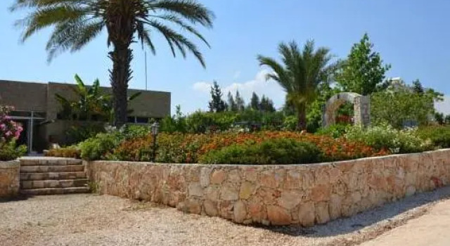 Łóżko w pokoju wieloosobowym Aphrodite Beach Hotel