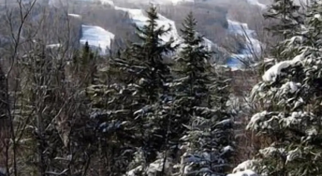 Номер Premier с 5 комнатами с видом на горы Townhomes at Bretton Woods