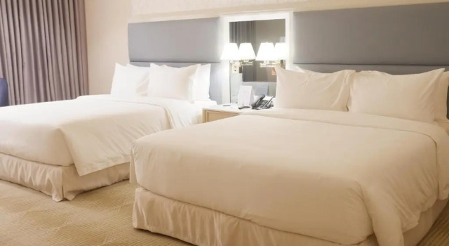 Двухместный номер Standard Royce Hotel & Casino