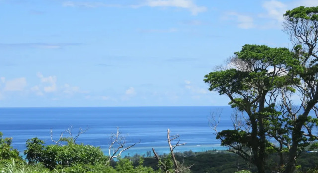 Номер Standard Okinawa Freedom
