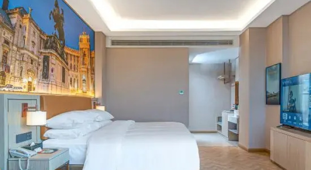 Люкс Business Vienna Hotel (Zhangye Gaotie West Railway Station Dafo Temple)