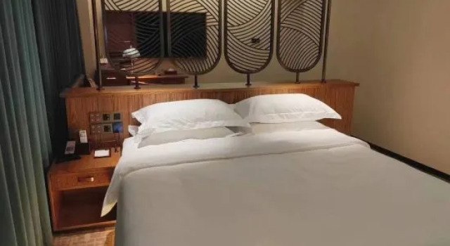 Люкс Deluxe James Joyce Coffetel Hotel (Shijiazhuang North Railway Station Shizhuang Subway Station)