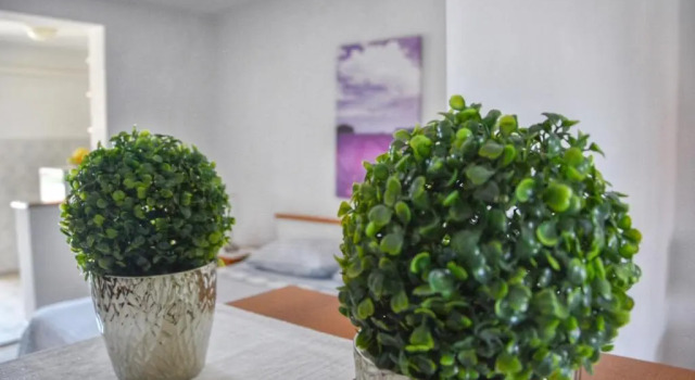 Студия Apartments Sena