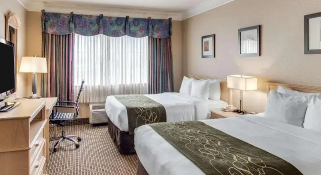 Номер Standard Comfort Suites Kingwood, Humble, New Caney, Houston IAH Airport