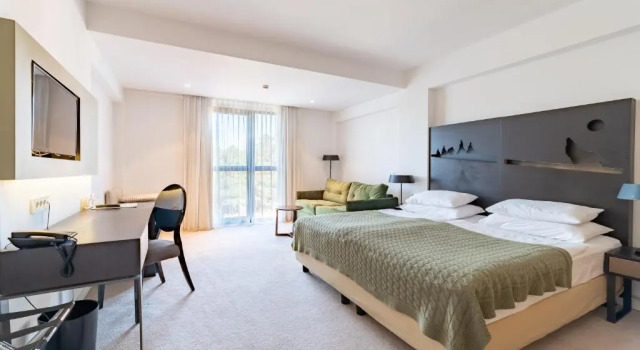 Двухместный номер Superior Hotel Palisad
