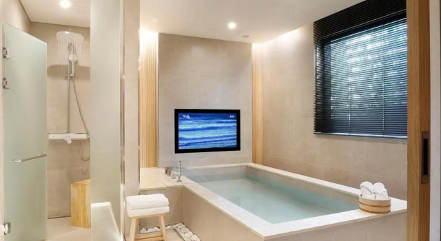 Люкс Hotel Foret The Spa