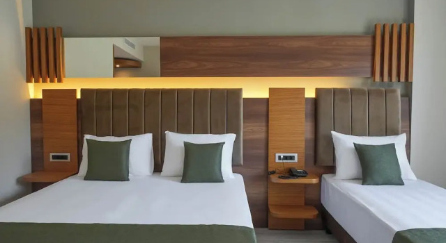 Номер Comfort Hotel Oliva Verde