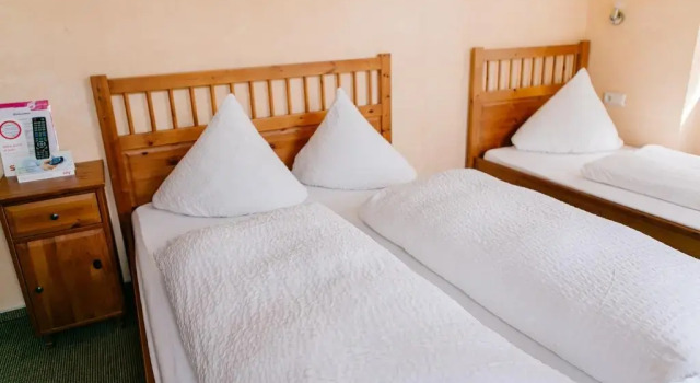 Трёхместный номер Standard Landhotel Airport-Inn