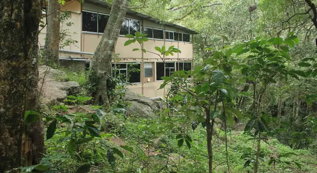 Secret Valley Jungle Resort, Забронировать Курортный отель Отели штата Тамилнада с завтраком, Завтраки