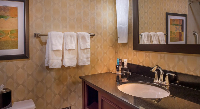 Двухместный номер Standard Crowne Plaza Hotel St. Louis Airport by IHG