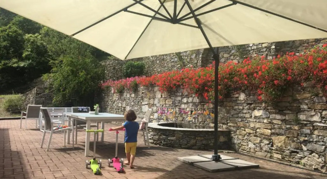 Villa Olivari - apt il Cedro