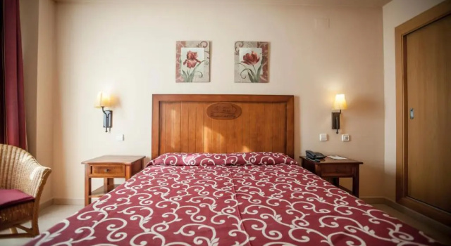 Двухместный номер Standard Gran Hotel Ciudad Del Sur