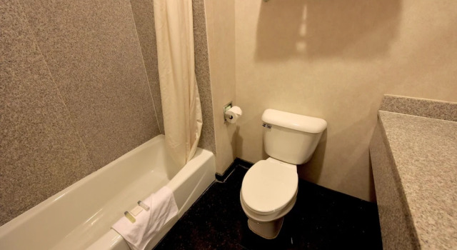 Четырёхместный номер Deluxe с видом на озеро Crown Choice Inn & Suites Lakeview and Waterpark