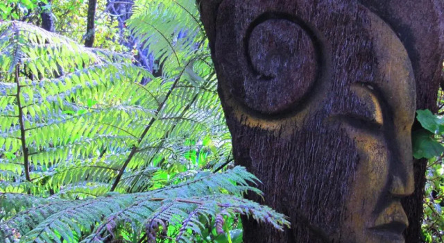 Waiheke Island Guesthouse, Rezerwuj Hotel Hotele w Auckland Region z parkingiem, Parking