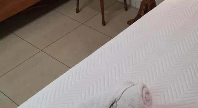 Номер Standard Hotel Aldea Chorotega Puntarenas