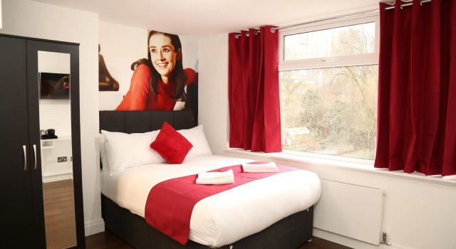 Двухместный номер Deluxe Wembley Park Hotel
