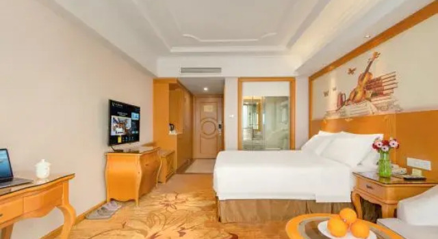 Люкс Deluxe Vienna International Hotel (Zhengzhou FU Tower Metro Station)