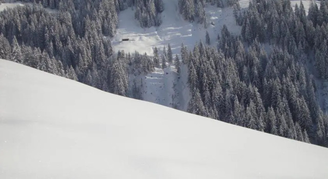 Thalernhof - Almhütte Kitzbühel, Забронировать Апартаменты/квартира Апартаменты Тироля, Апартаменты/квартира