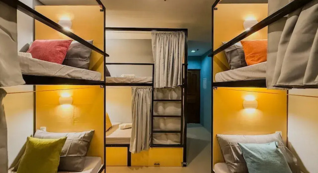 Кровать в общем номере (женский номер) Goofy Ants Hostel