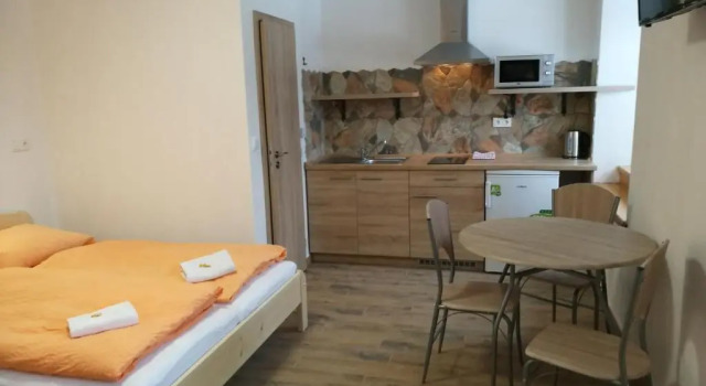 Студия Family apartments V Zátiší