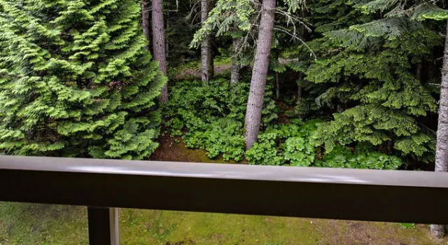 Westwind Properties at The Woodrun Lodge