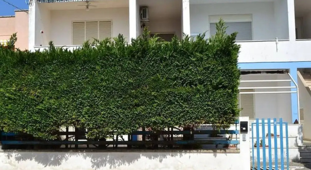 Holiday Apartment Close To The Beach With Air Conditioning And Terrace Pets
