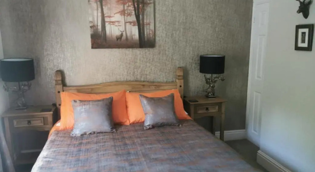 Номер Standard Dolweunydd Bed & Breakfast