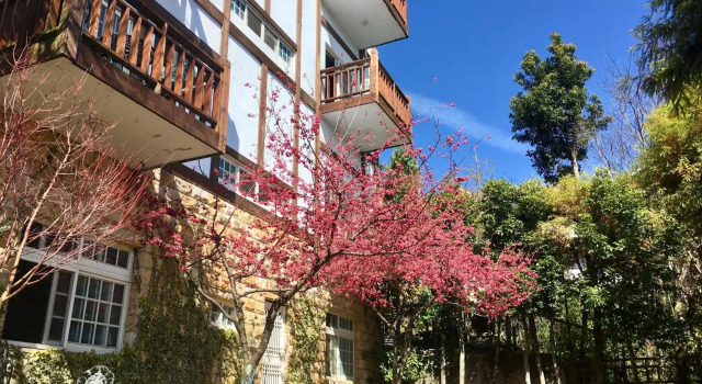 The Cotswolds Villa, Réserver Villa Cottages à Nantou County, Cottage