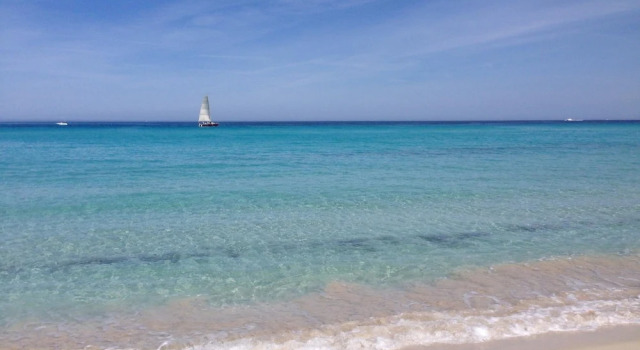 Mor305-t2 Neuf vue Panoramique Golfe acc s Plage, Varaa Hotelli Saint-Florent 