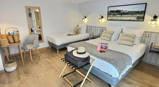 Номер Standard Logis Hôtel du Cygne