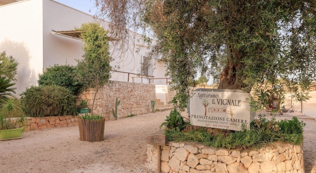 Masseria il Vignale, Rezerwuj Pobyt na farmie Hotele w Valle d'Itria z basenem, Basen