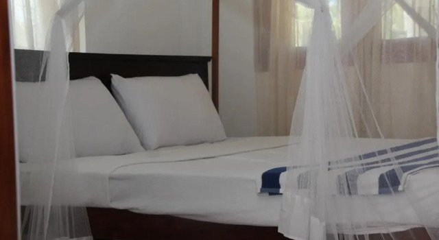 Номер Standard blue beach paradise